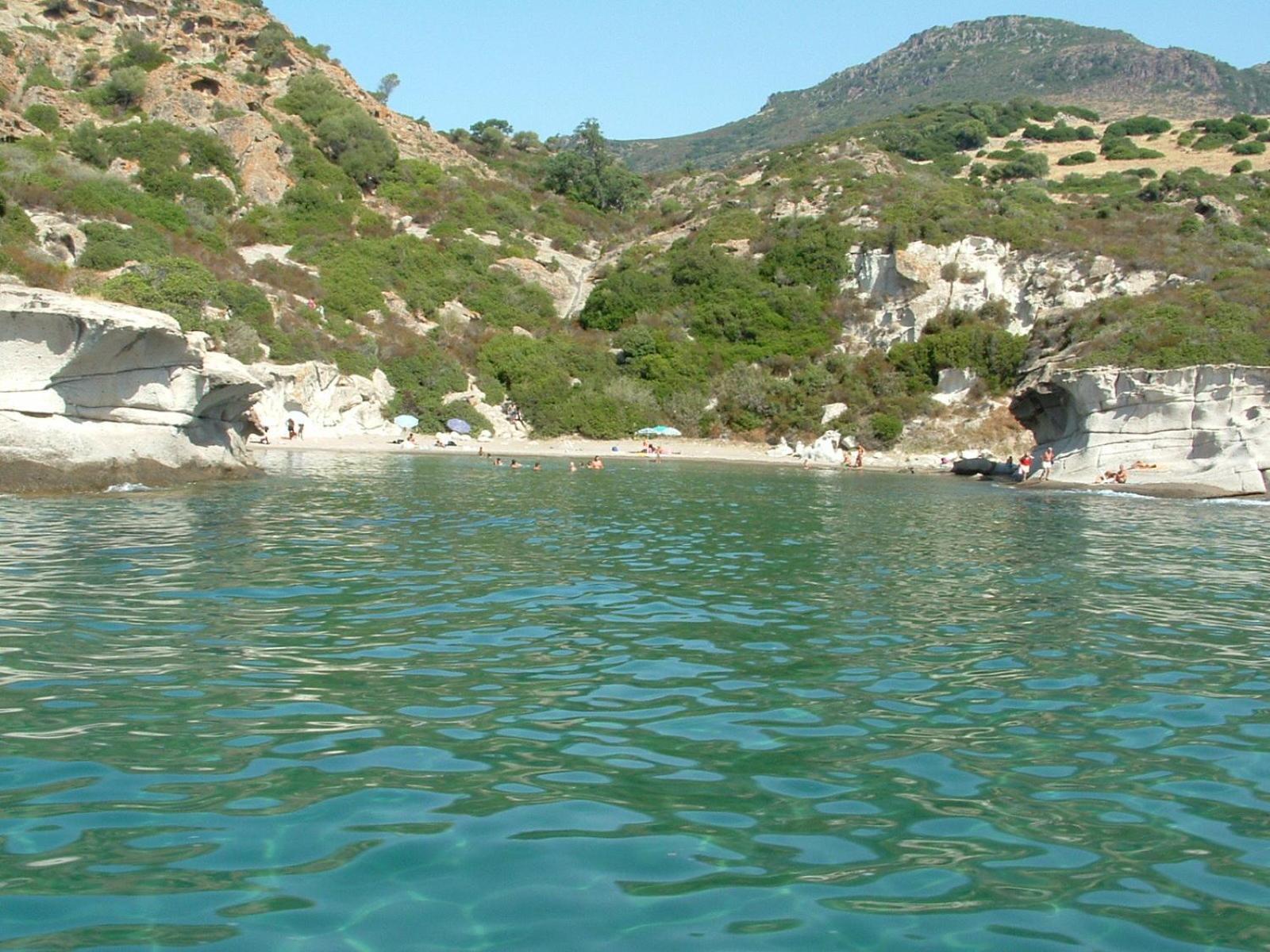 Gli Asfodeli Tresnuraghes