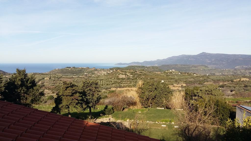 Gli Asfodeli Tresnuraghes